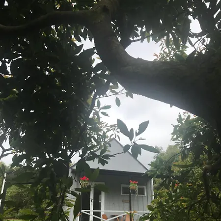 Paradise Grove Whangamata Exterior photo