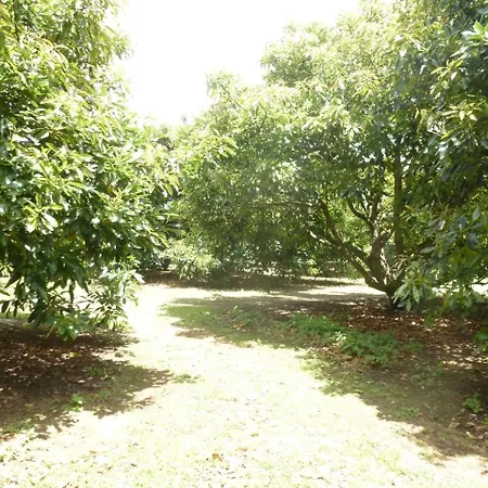 Paradise Grove Whangamata Exterior photo