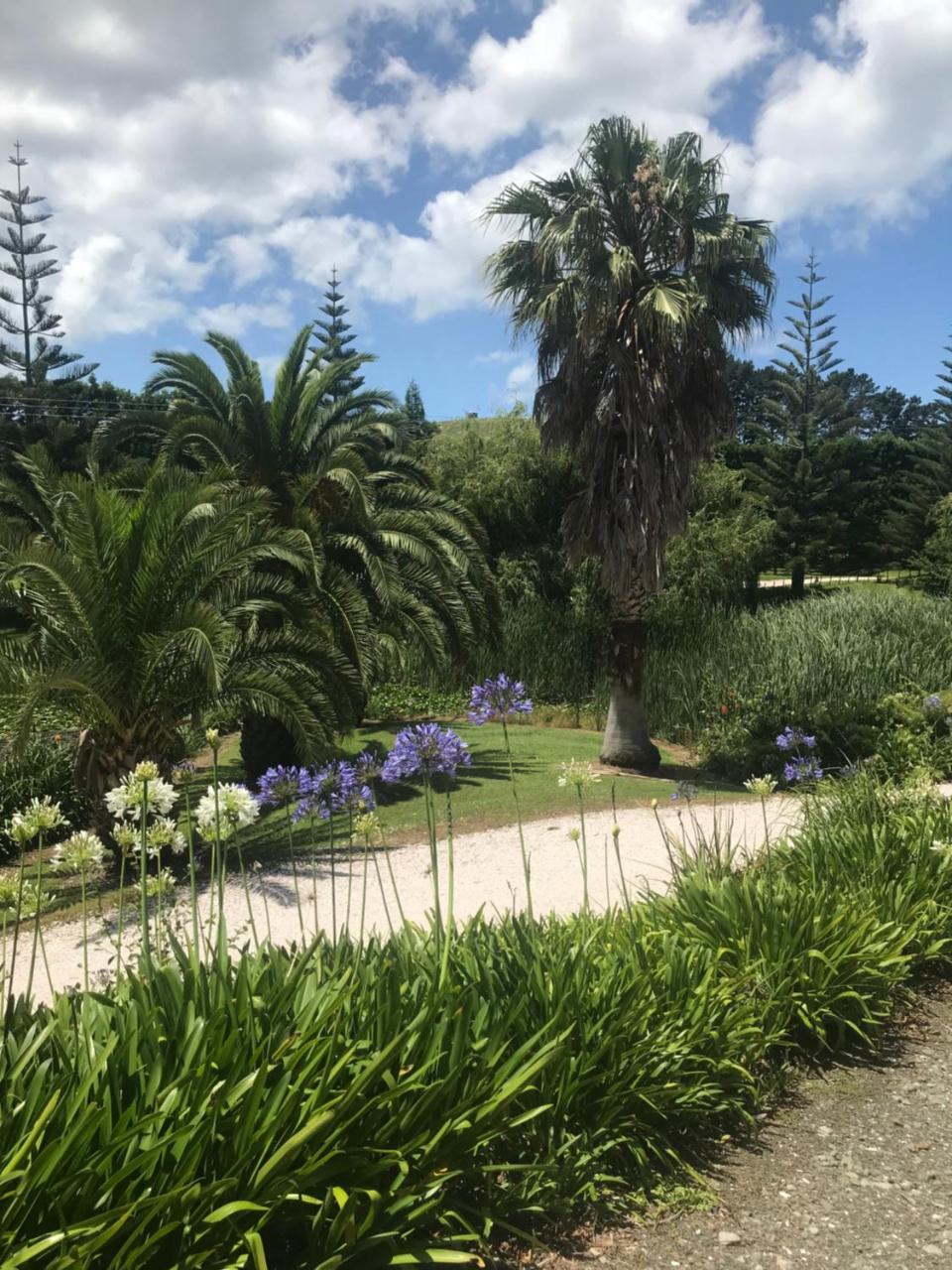 Paradise Grove