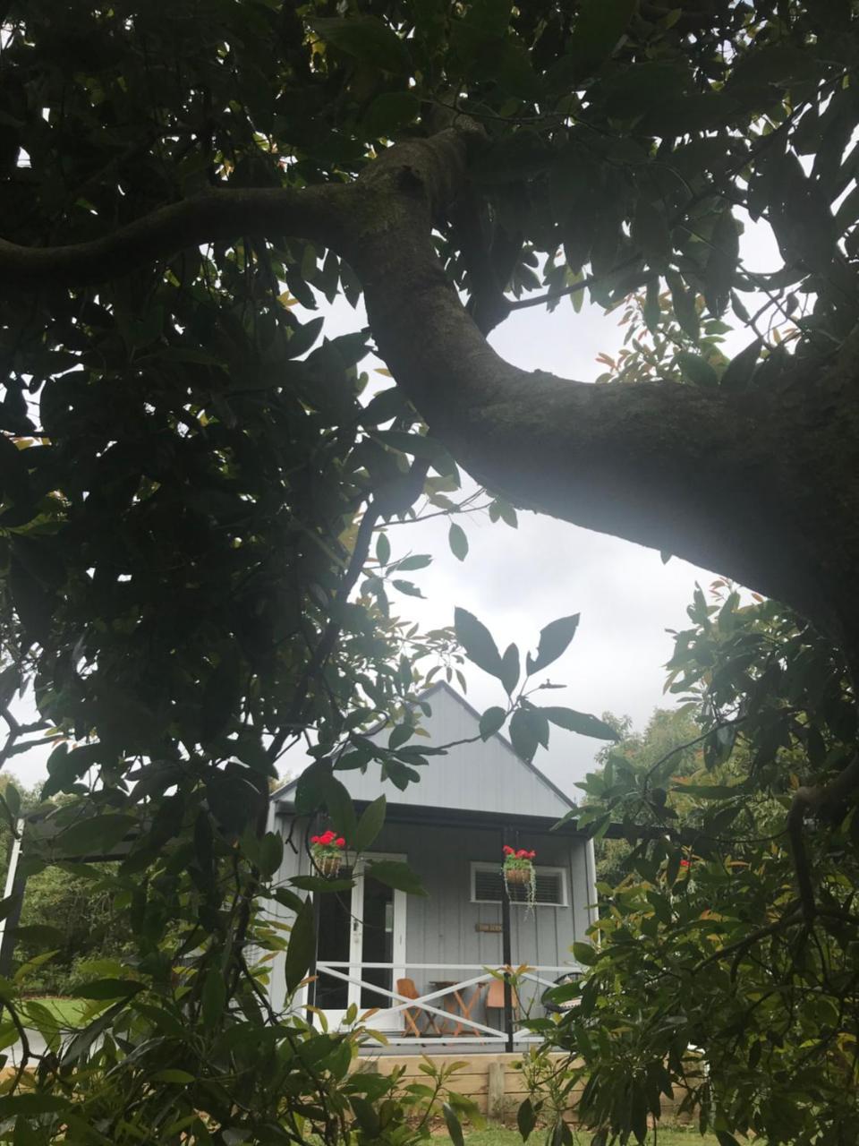 Paradise Grove * Whangamata