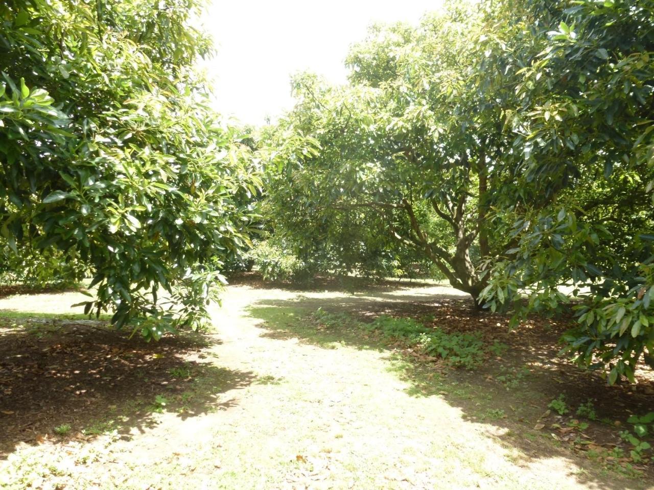 Paradise Grove Chalet
